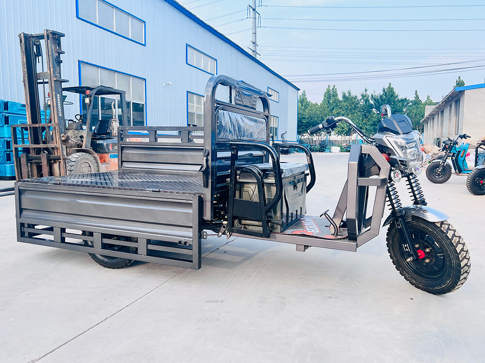 Big G Cargo Electric Tricycle