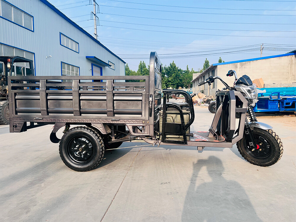 Big G Cargo Electric Tricycle