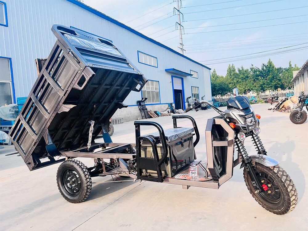 Big G Cargo Electric Tricycle