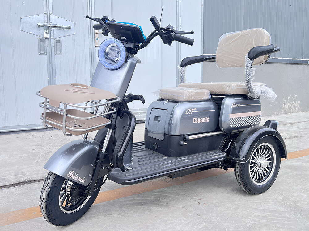 three-wheeled walker