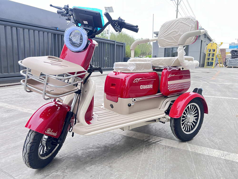 three-wheeled walker