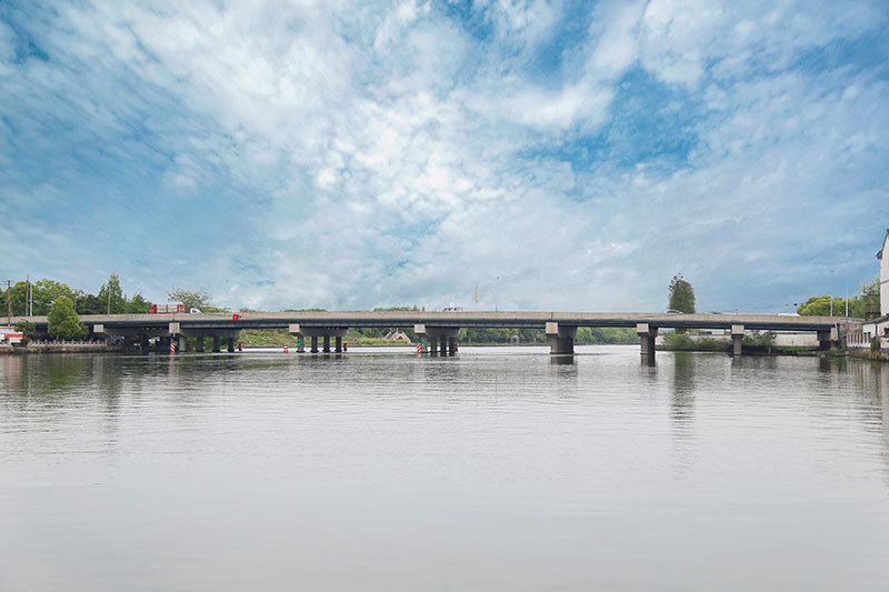 Steel structure landscape bridge
