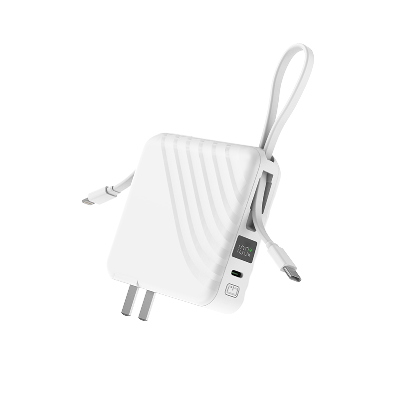 C3 AC 10000mAh Power Bank with Type-c&Lightning cable Support Plug Options