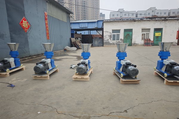 South Africa Customer Purchased Hongrun Pellet Machines Again