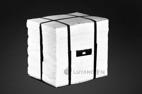 Alumina Fiber Module