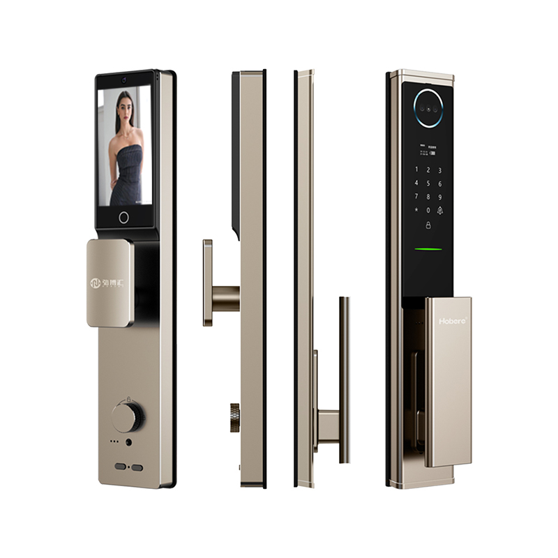 H6Pro
