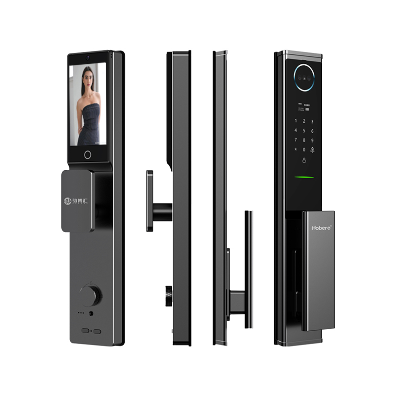 H6Pro