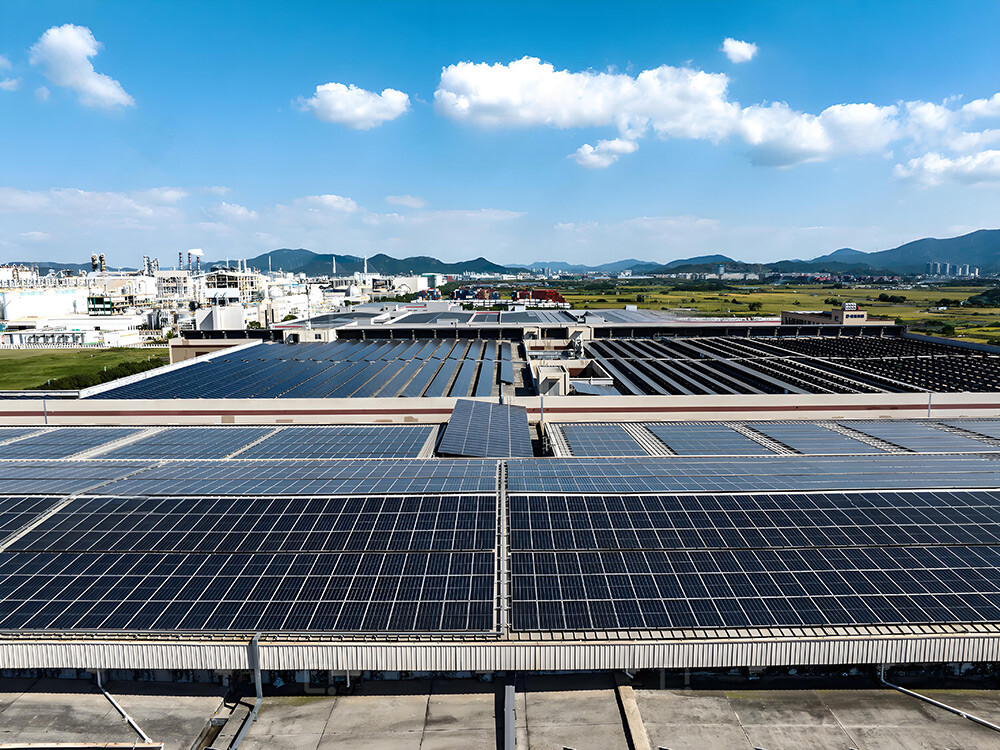 38b90a6b-82ea-4ff1-9e26-2c24ee53cbb8(1)