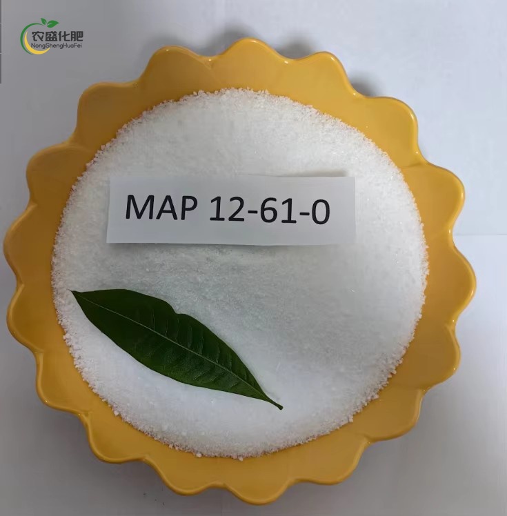 MAP12-6-0