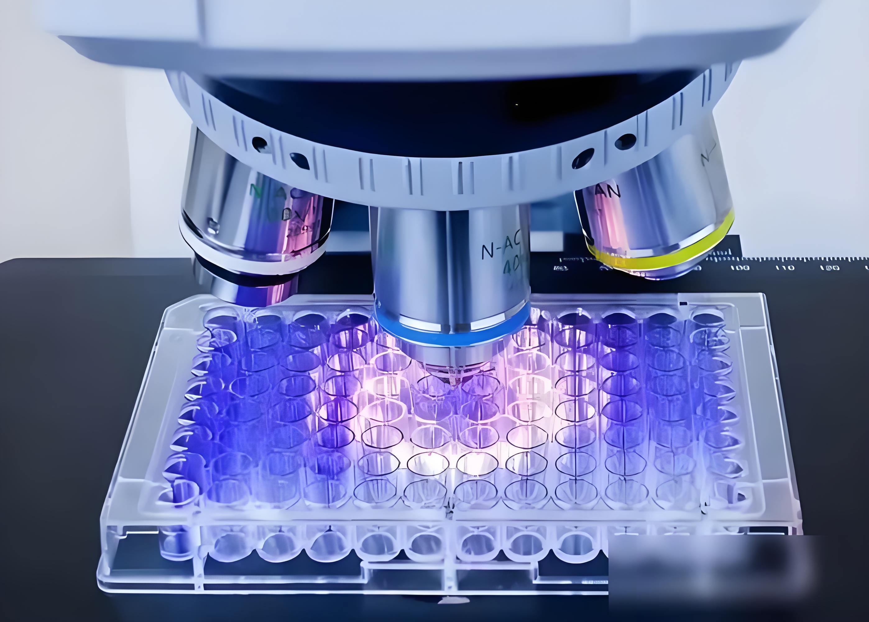 0e777720-4559-4216-a97a-908e9864636c