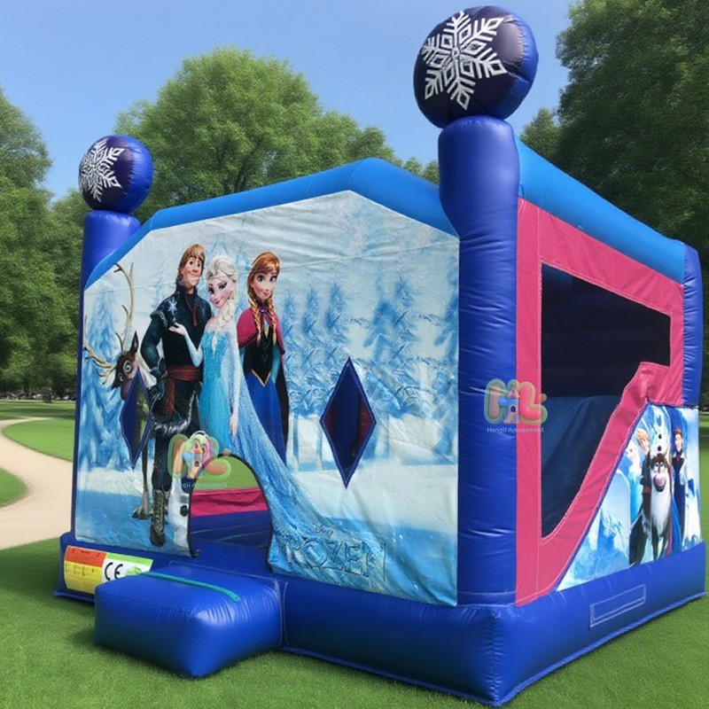 theme bounce house (2)