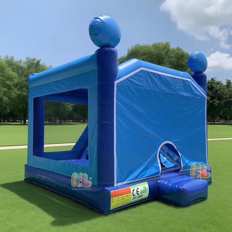 theme bounce house (4)