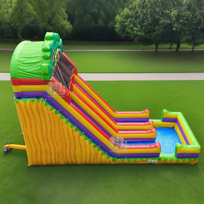 Carnival Water Slide