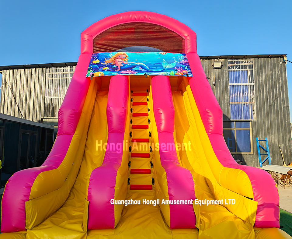 inflatable dule lane theme water slide