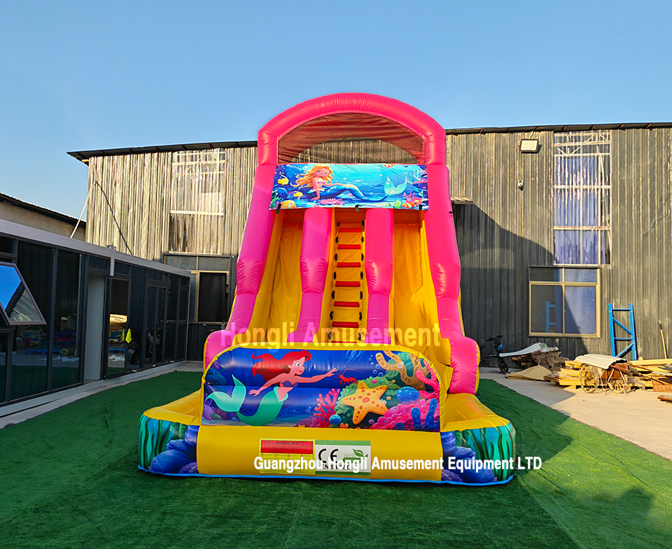 inflatable dule lane theme water slide