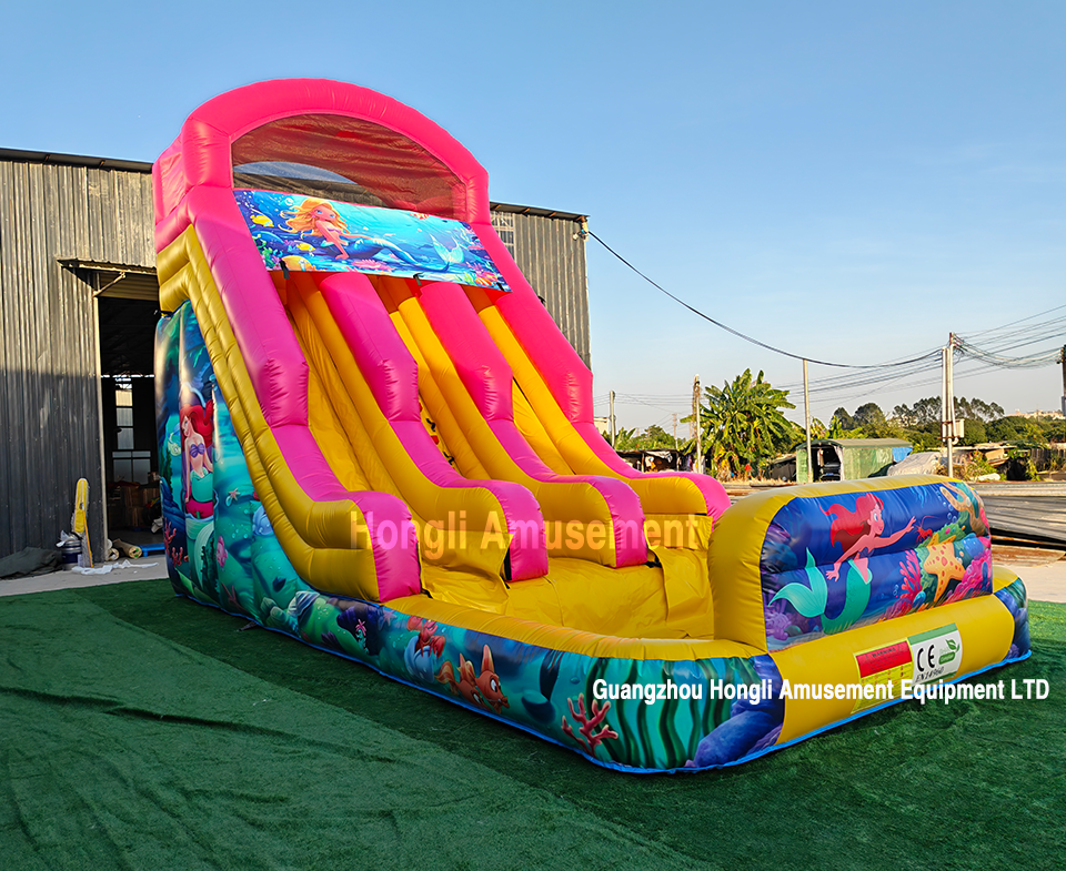 inflatable dule lane theme water slide