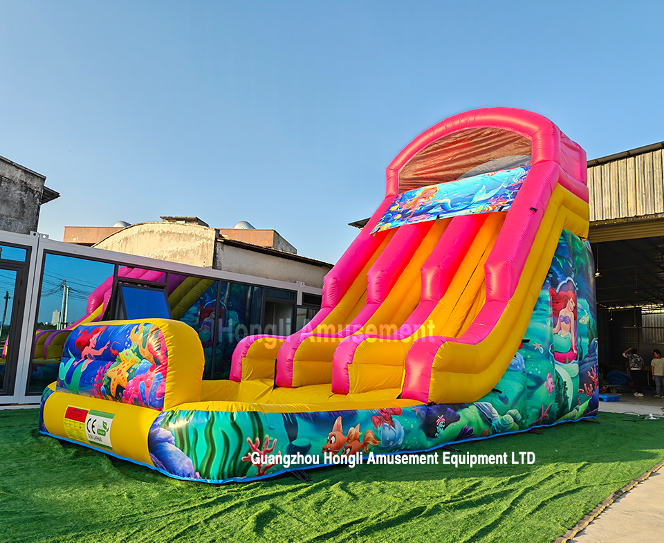 inflatable dule lane theme water slide