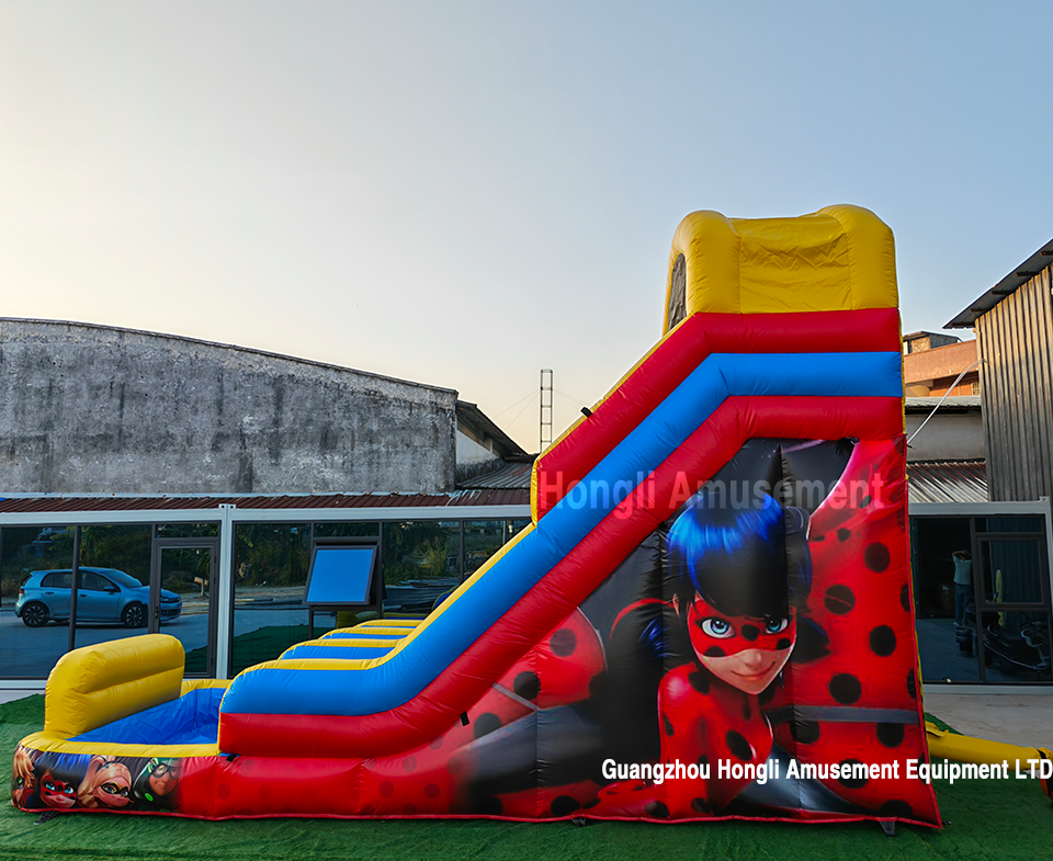 inflatable dule lane theme water slide