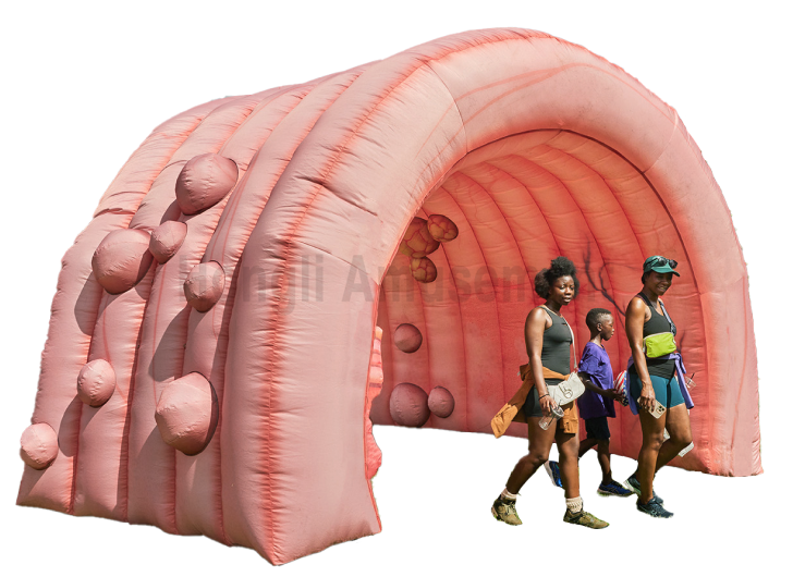 inflatable healthy advertisng inflatable heart brain