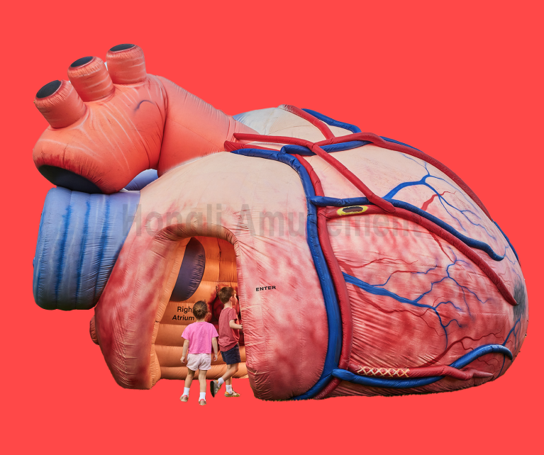inflatable healthy advertisng inflatable heart brain