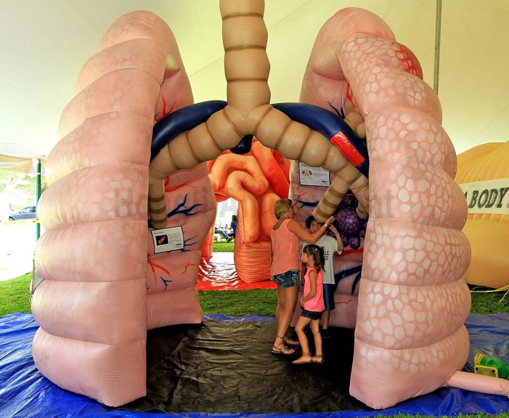 inflatable healthy advertisng inflatable heart brain