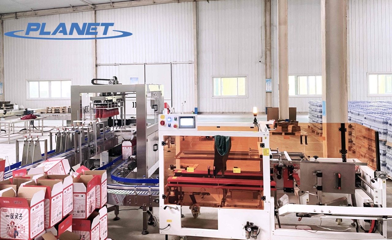 Grab type case packer