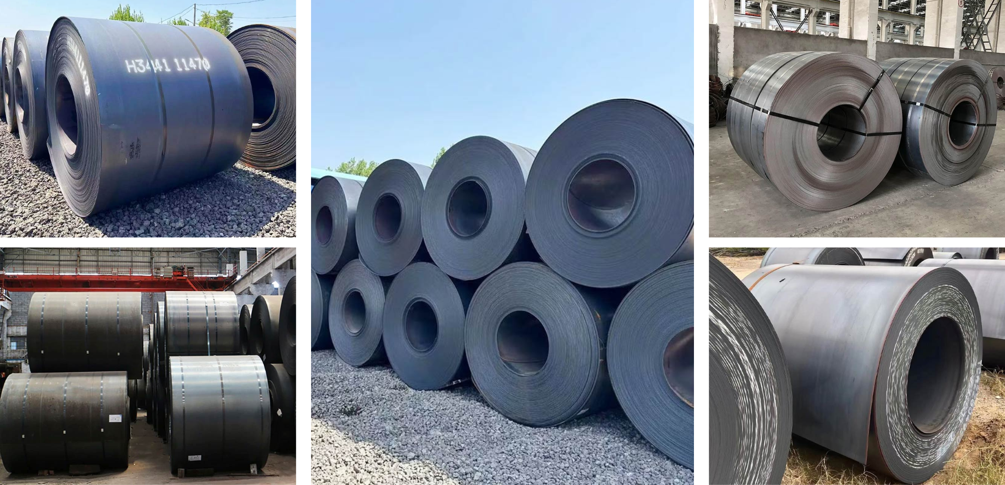 碳钢卷.png 碳钢卷.png