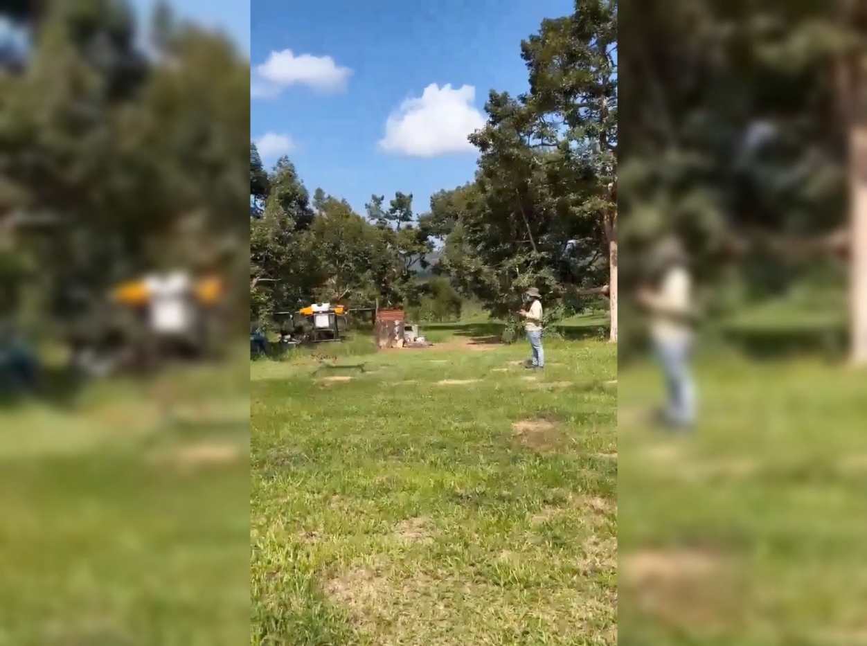 Video showing how a plant protection drone sprays pesticides on durian trees