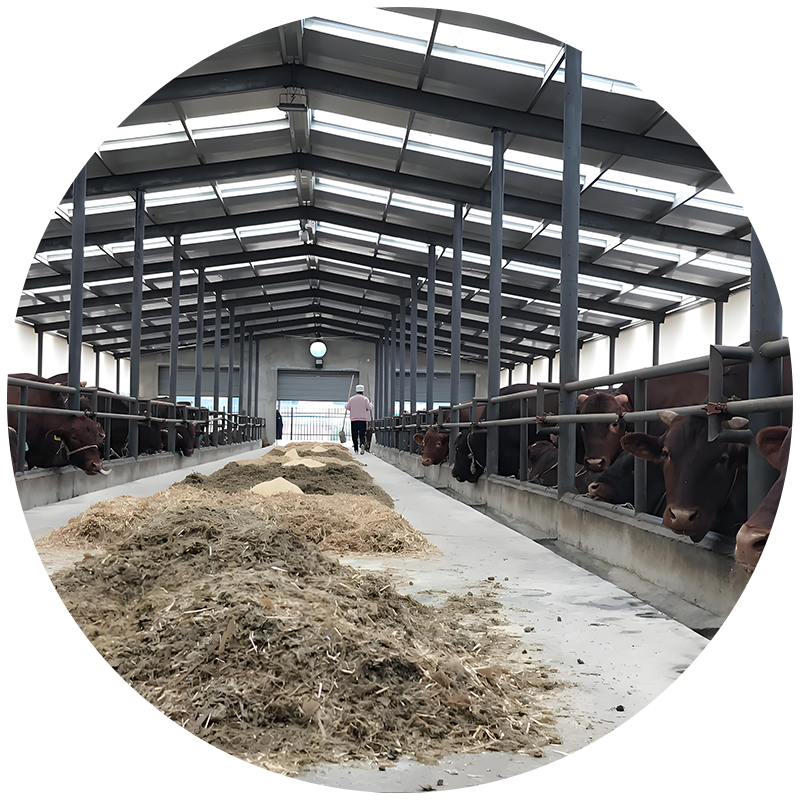 Livestock steel structure