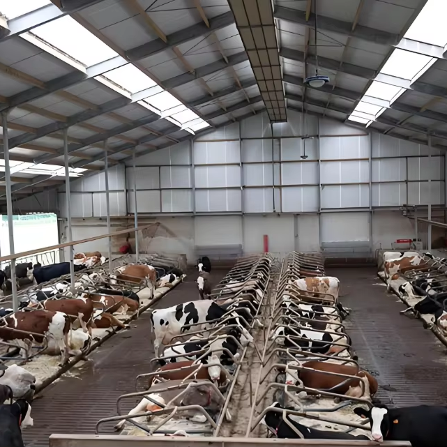 Prefab Steel Livestock Barns for Cattle, Sheep & Pigs-Strong, Ventilated & Easy to Assemble