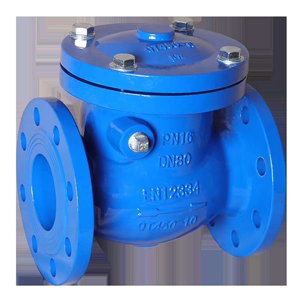 Flange Swing Check Valve