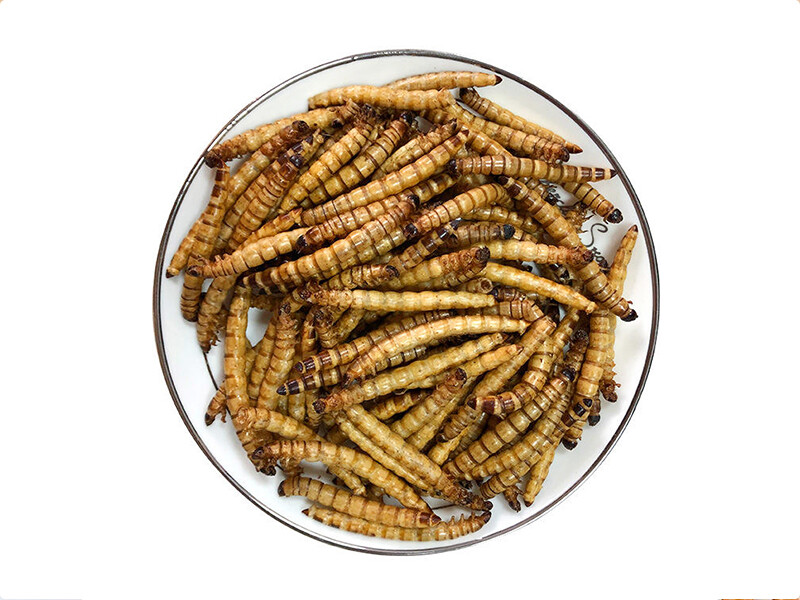 High Protein Dried Yellow Mealworm for Pet Food