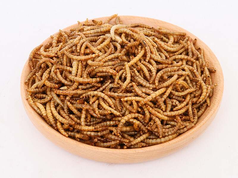 Dried Mealworms for Wild Birds/Fish/Pets/Chicken Feed