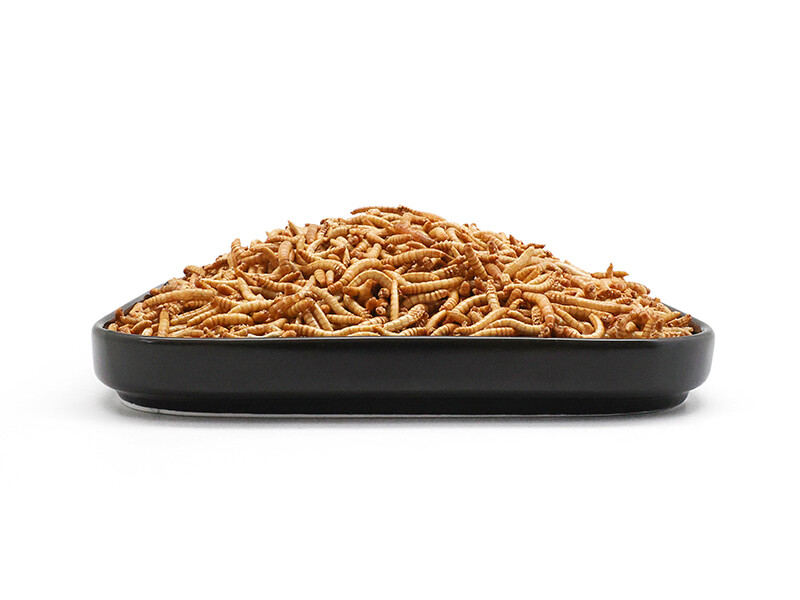100% Natural High Protein Dried Yellow Mealworms