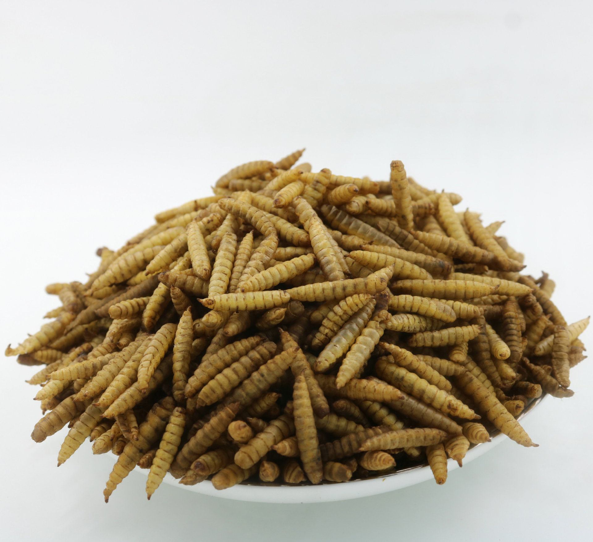 High Protein Black Soldier Fly Larvae