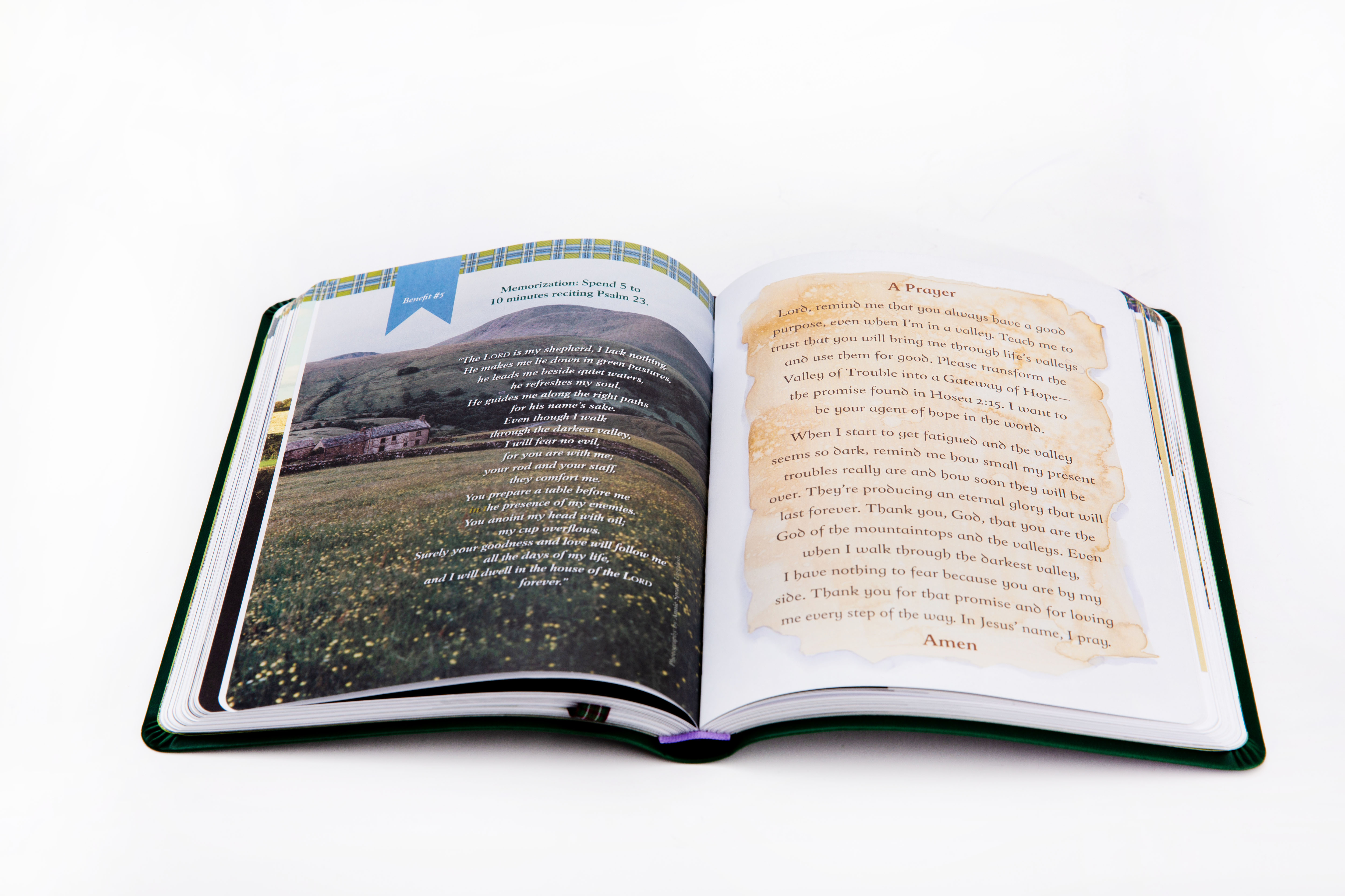 Softcover books