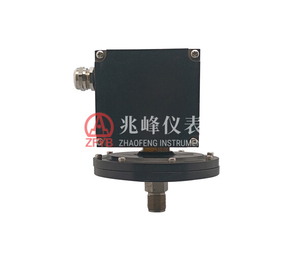 YEK(B) (Explosion-Proof) Micro Pressure Controller
