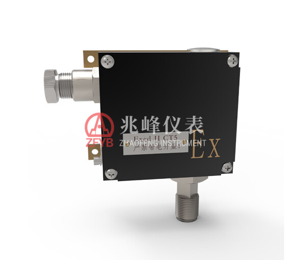YTK(B) (Explosion-Proof) Pressure Controller