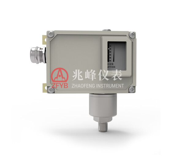 YWK(B) (Explosion-Proof) Pressure Controller