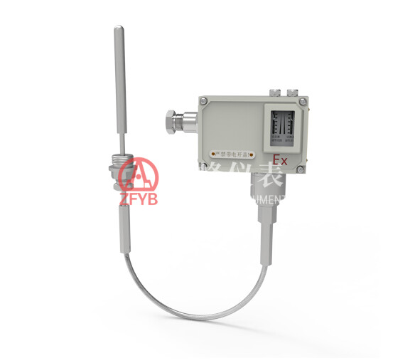 WTYK(B) (Explosion-Proof) Temperature Controller