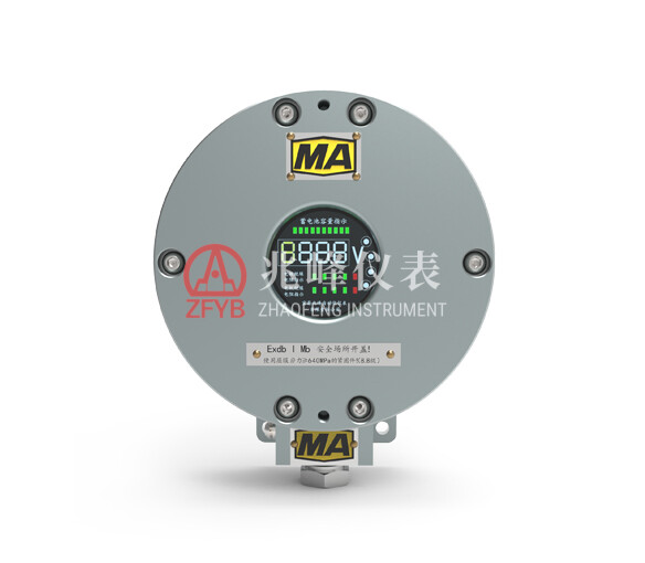 YBZ-240 Explosion-Proof Battery Monitor