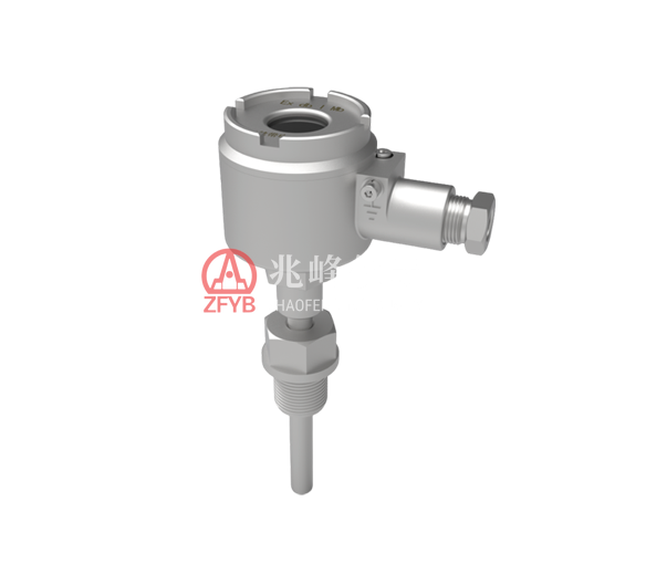 BWD200-RS Mining Explosion-proof Temperature Transmitter