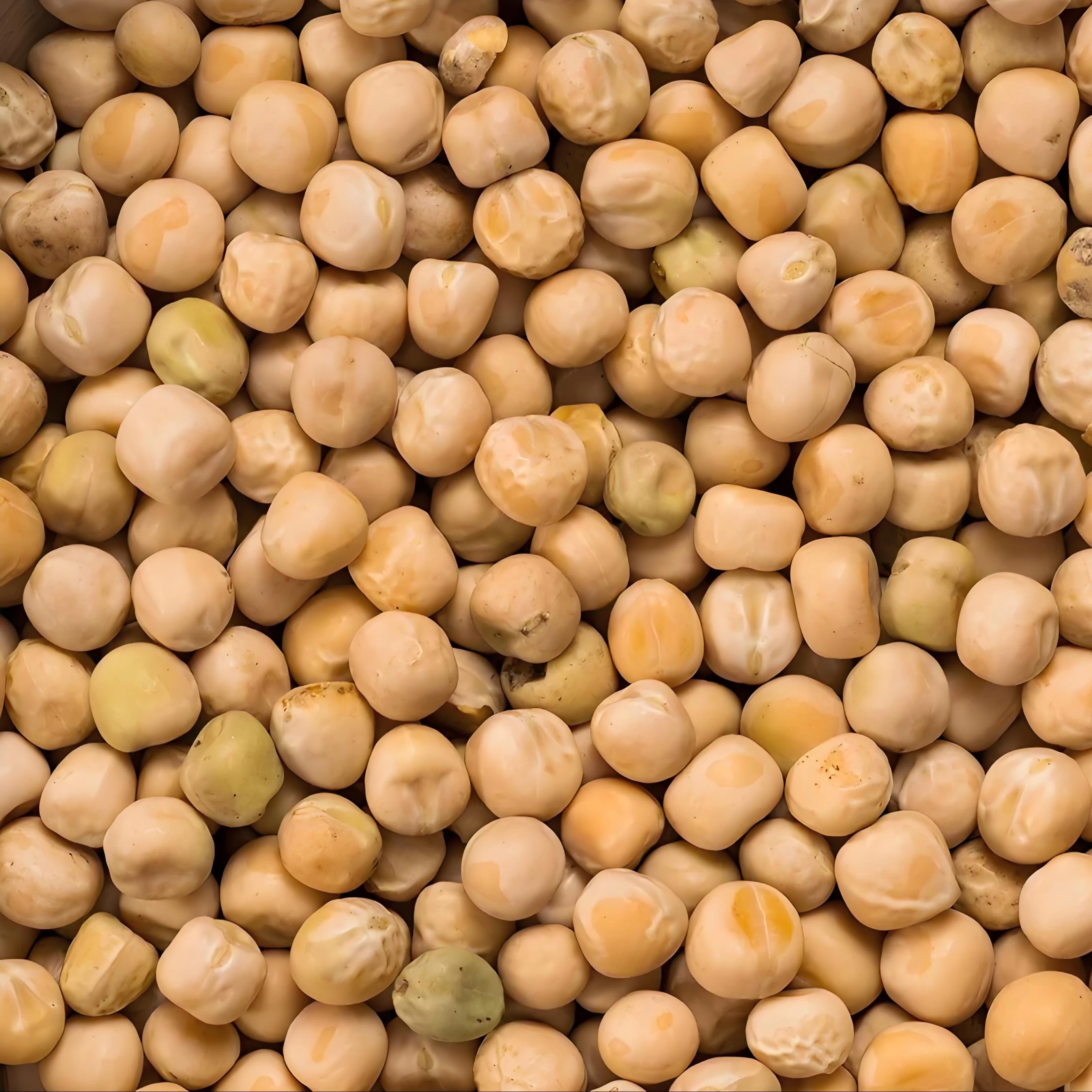Pea