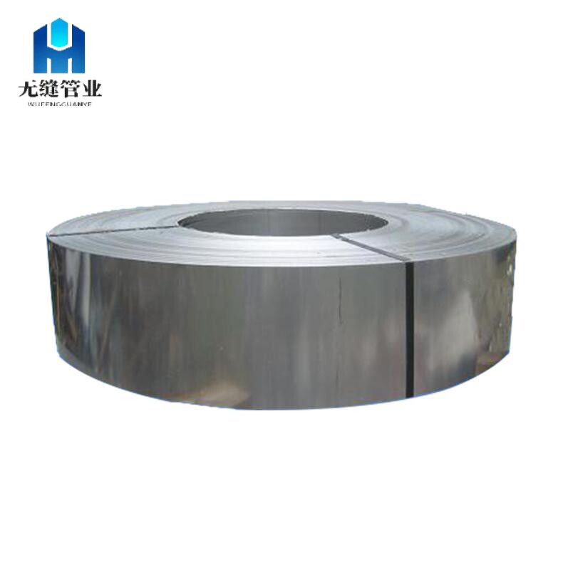 Tira de acero inoxidable 2205