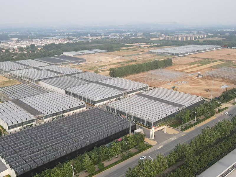 鑫和兰谷蝴蝶兰基地
