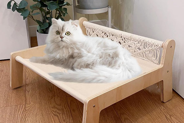 How to Choose the Best Pet Furniture for Your Home?