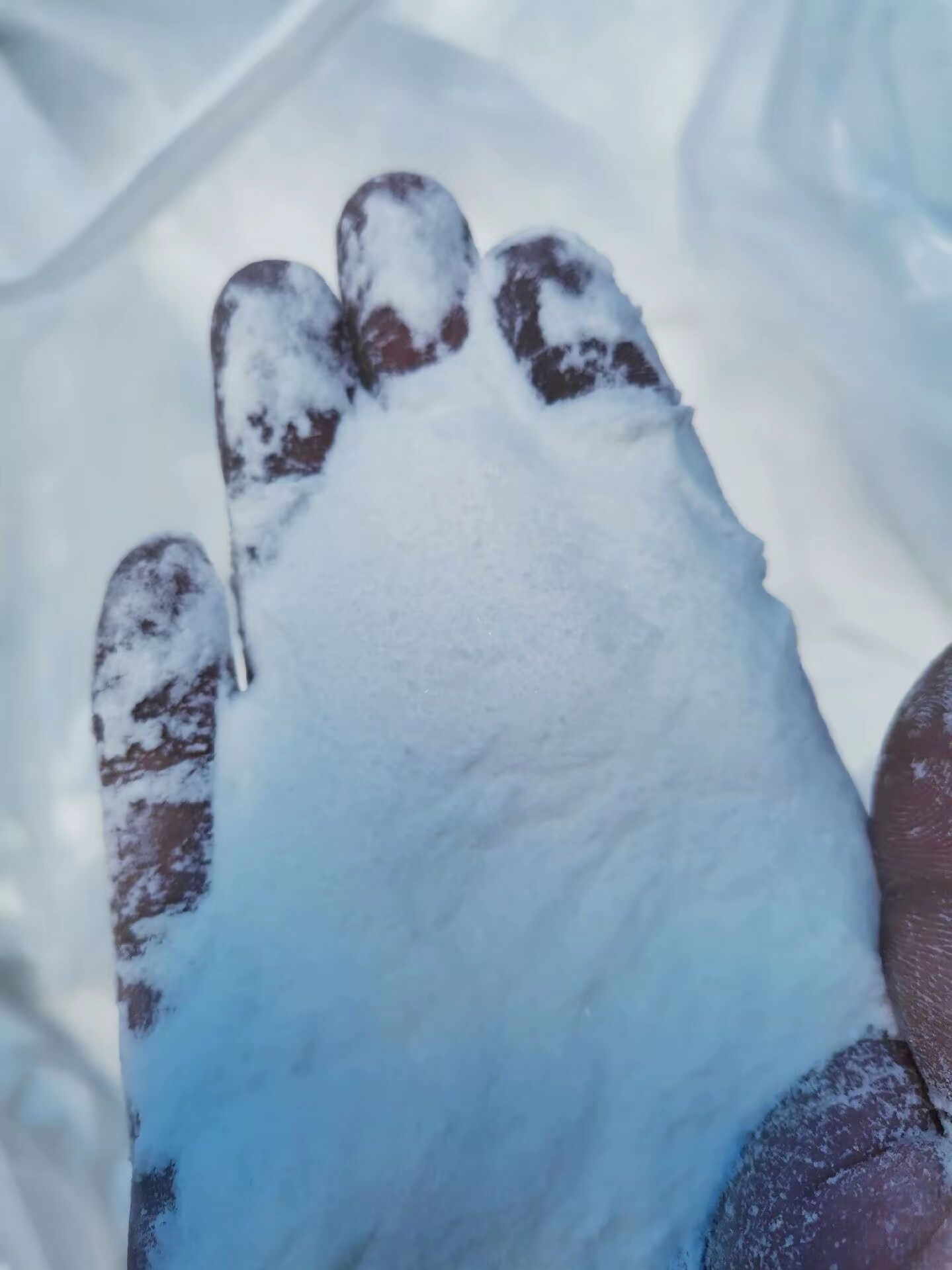 Sodium Metabisulfite