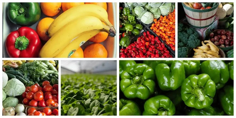 有机无机复混肥Organic And lnorganic Compound Fertilizer-