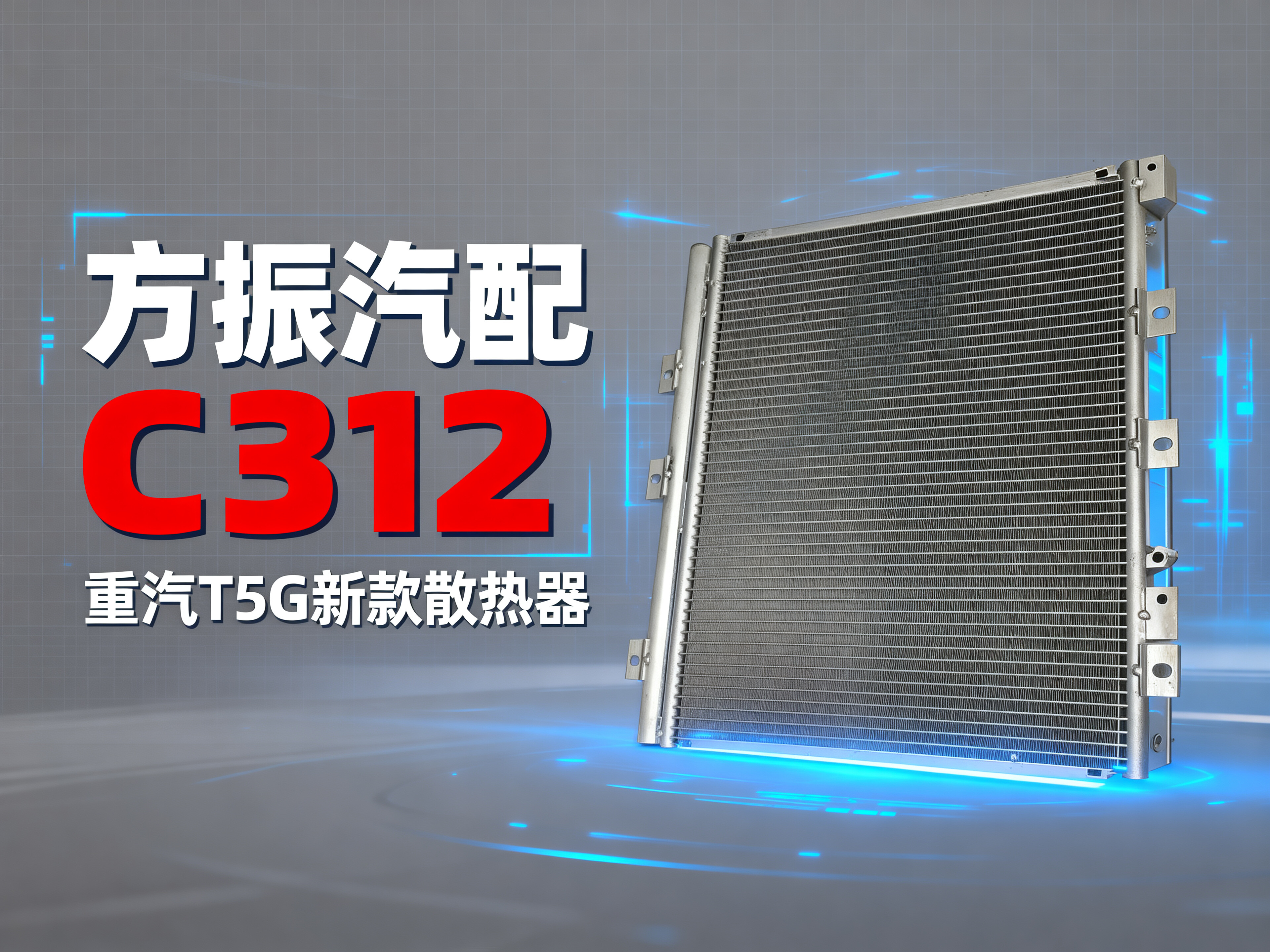 重汽T5G C312