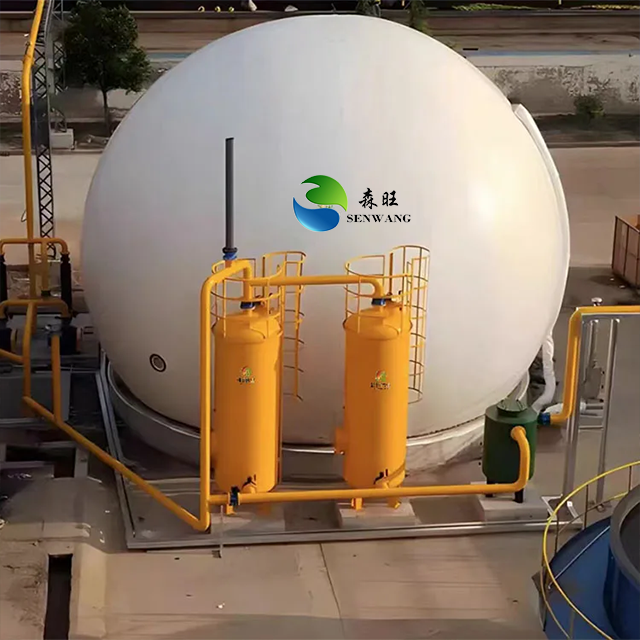 Biogas Storage Equipment for Chemical Industry for Methane Gas Production Project